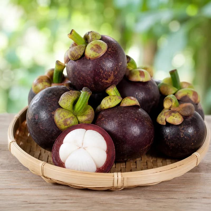 Măng cụt Lái Thiêu